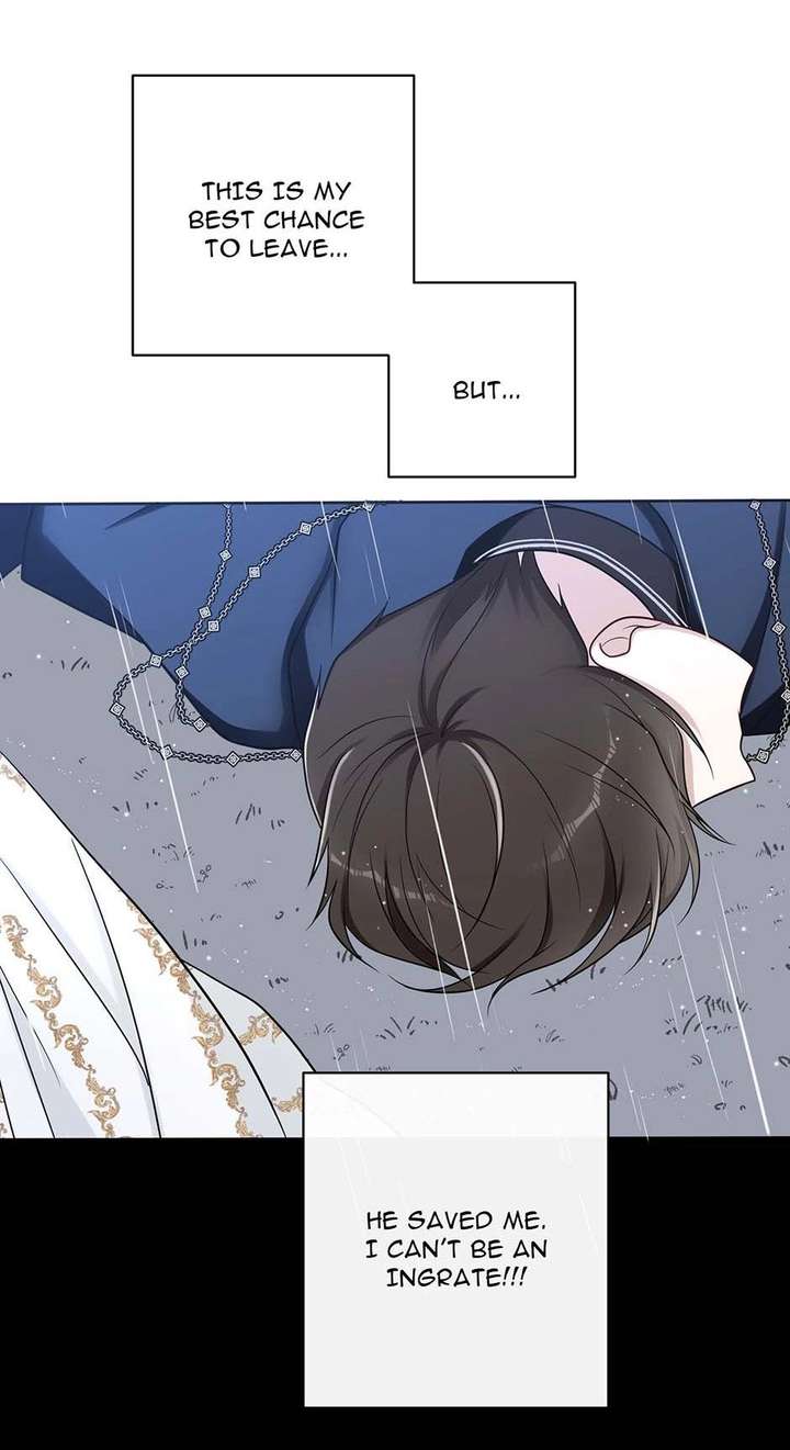ch 11 46