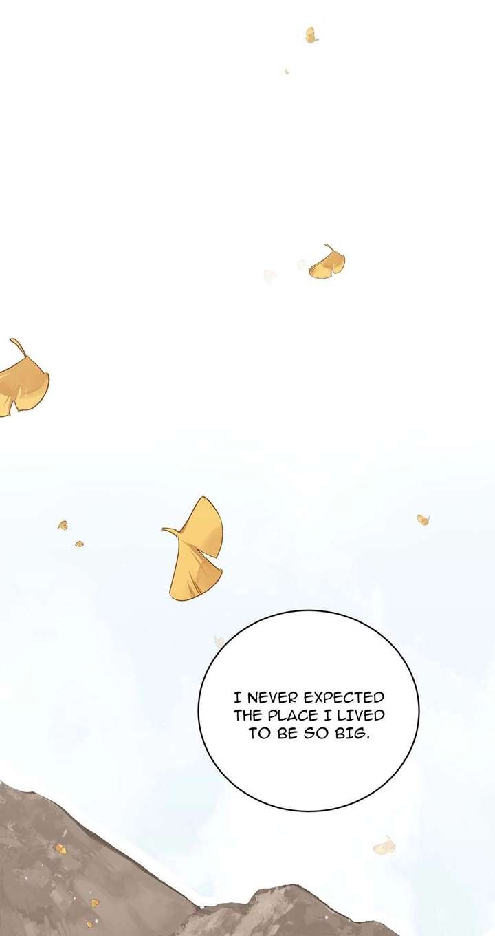 The poetry of love and war Chapter 13 255 ch 13 27