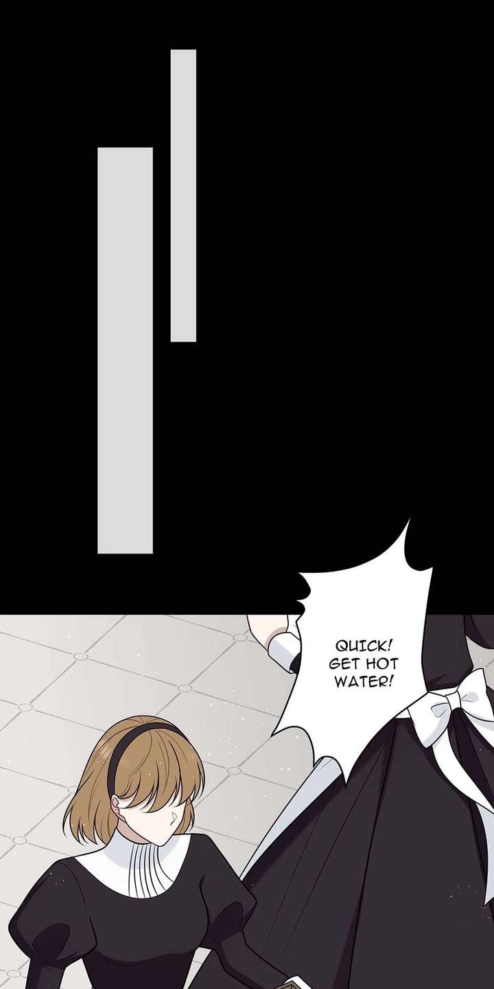 ch 24 49