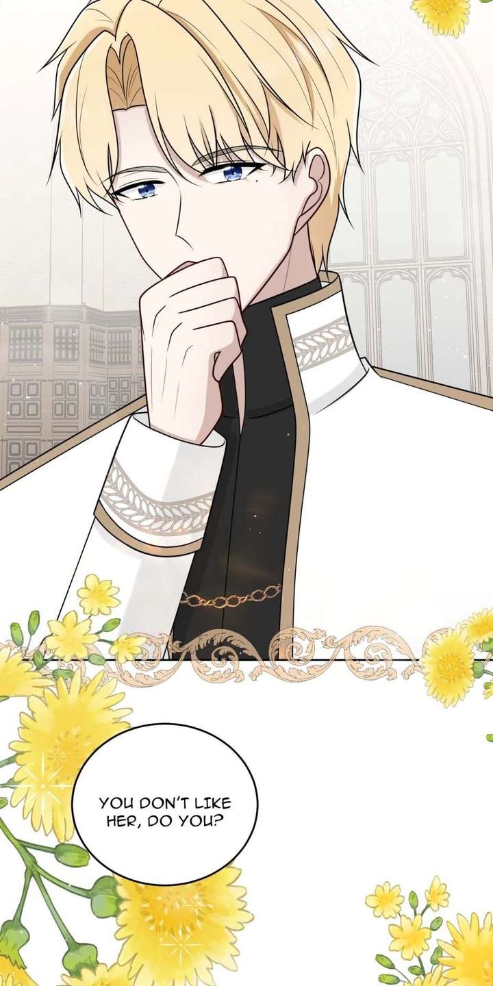 ch 26 29