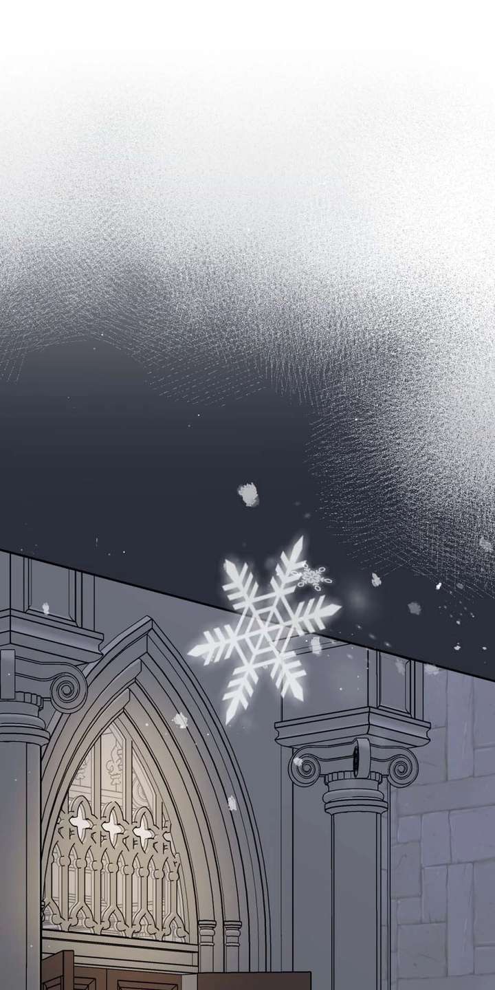 ch 28 29