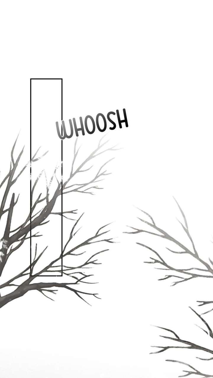 ch 29 19
