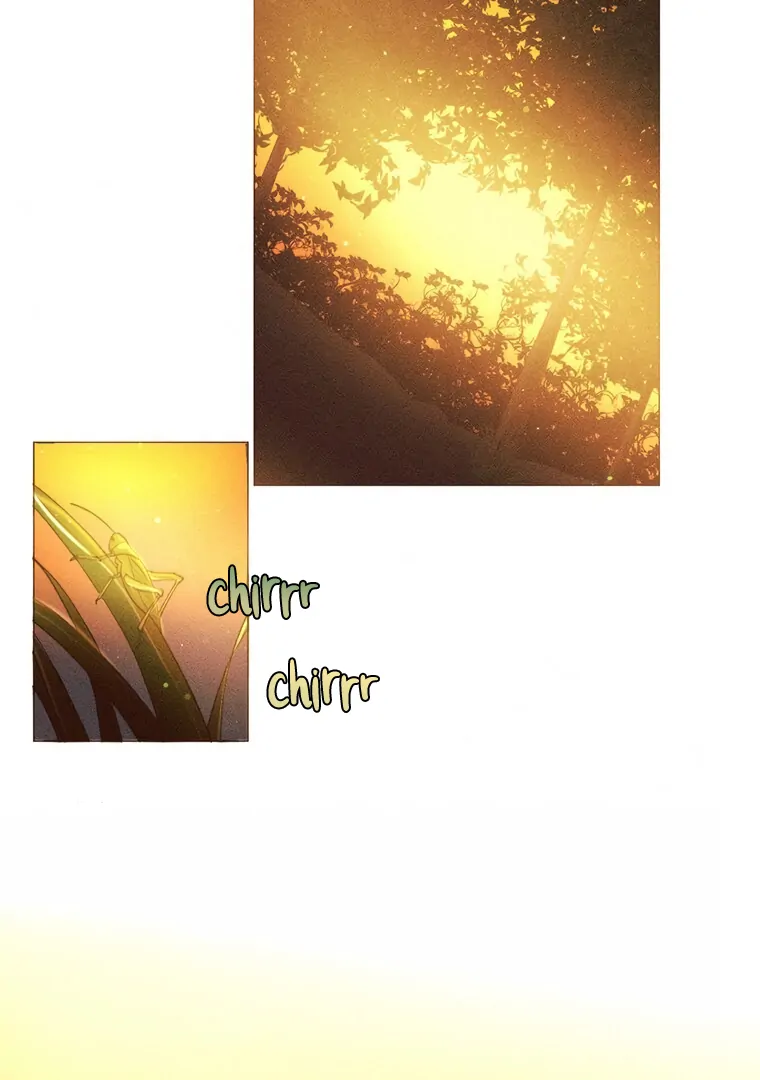 ch 15 54