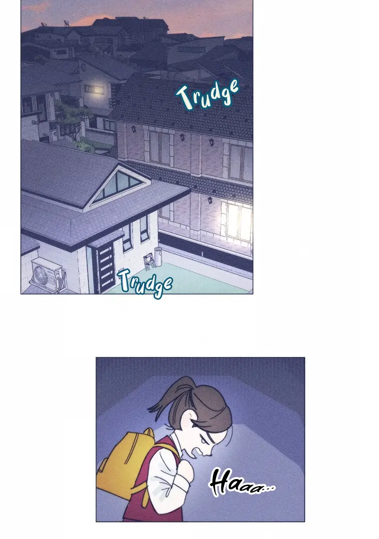 ch 17 19