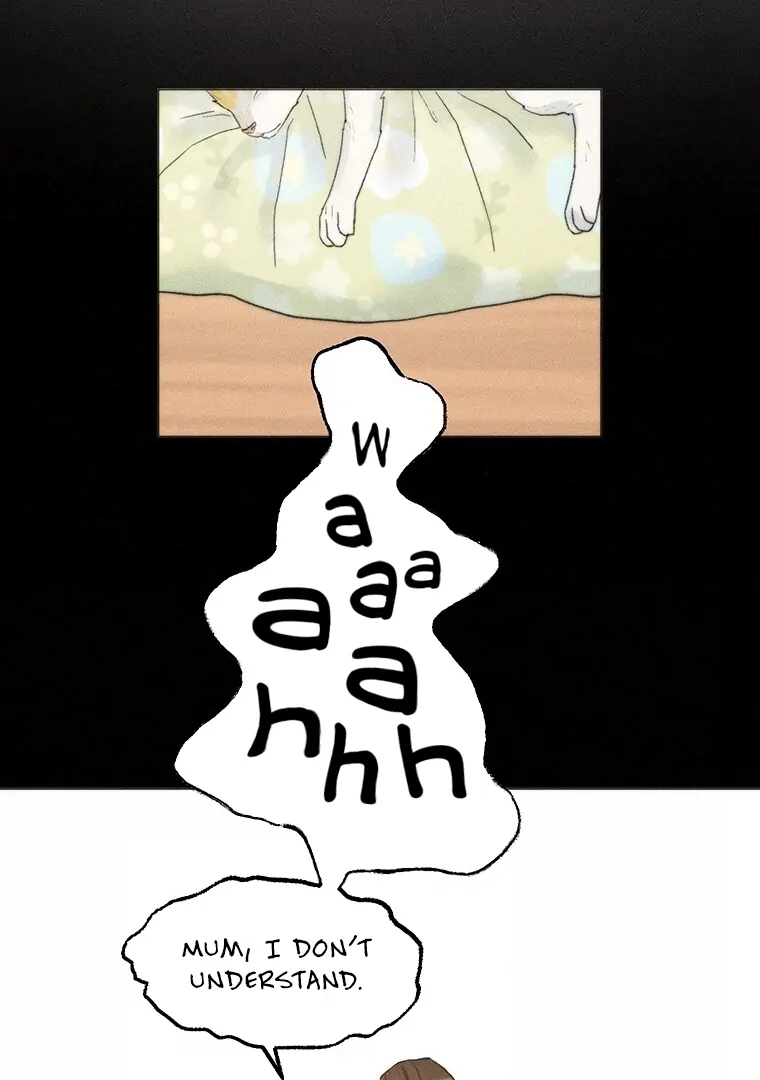 ch 17 27