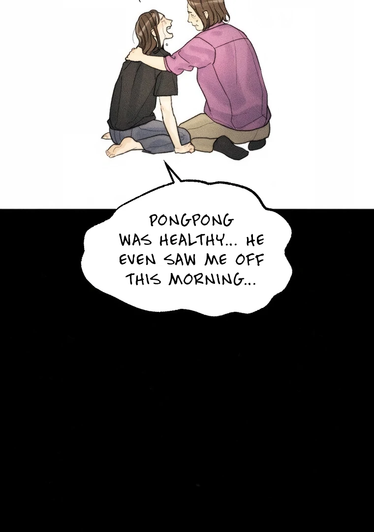 ch 17 28