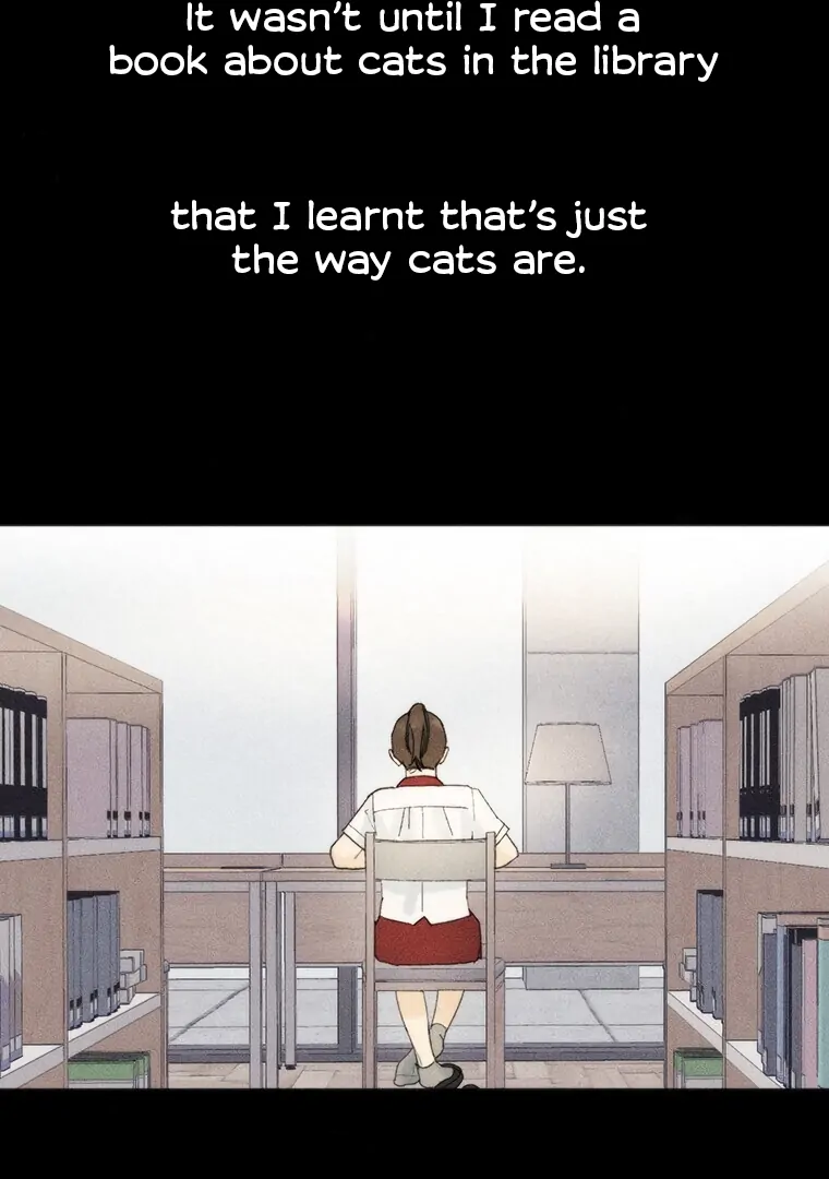 ch 17 29