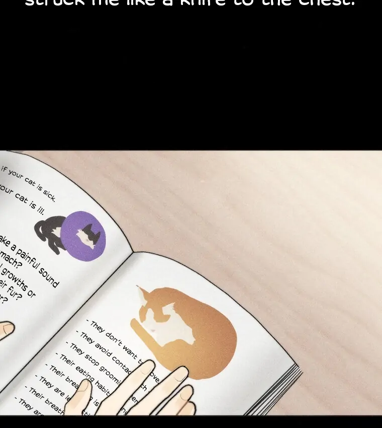 ch 17 33