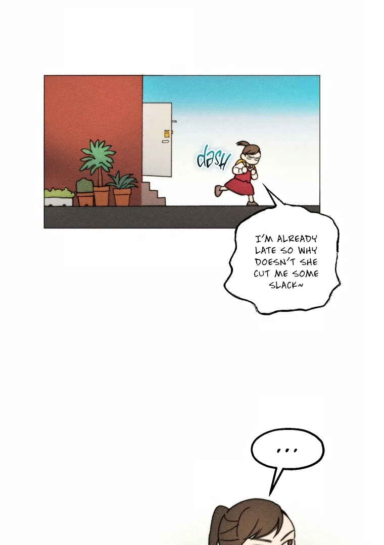 ch 19 38