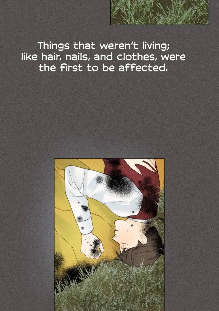 ch 22 8