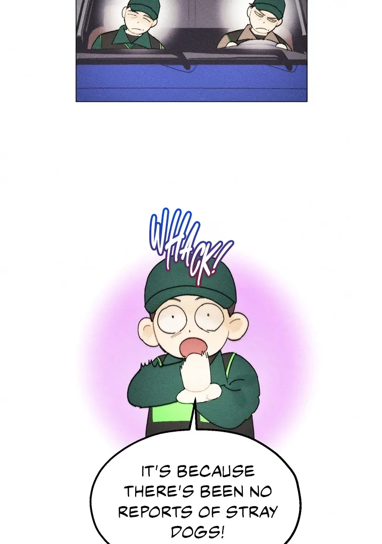 ch 24 5
