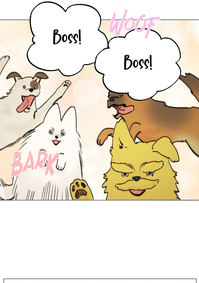 ch 27 38