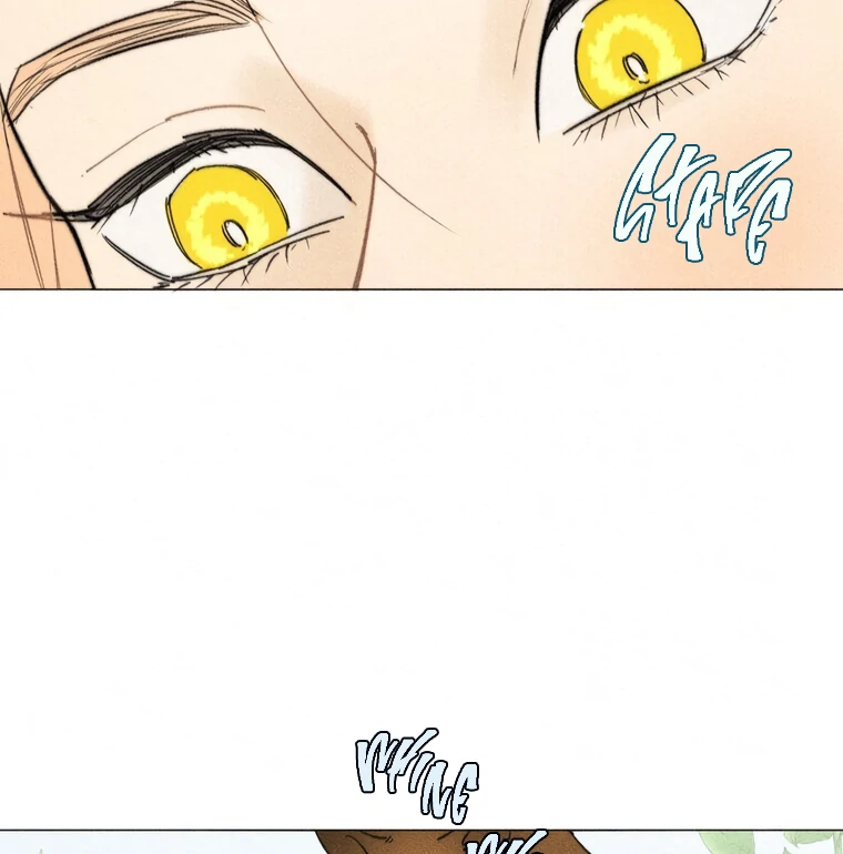 ch 28 81