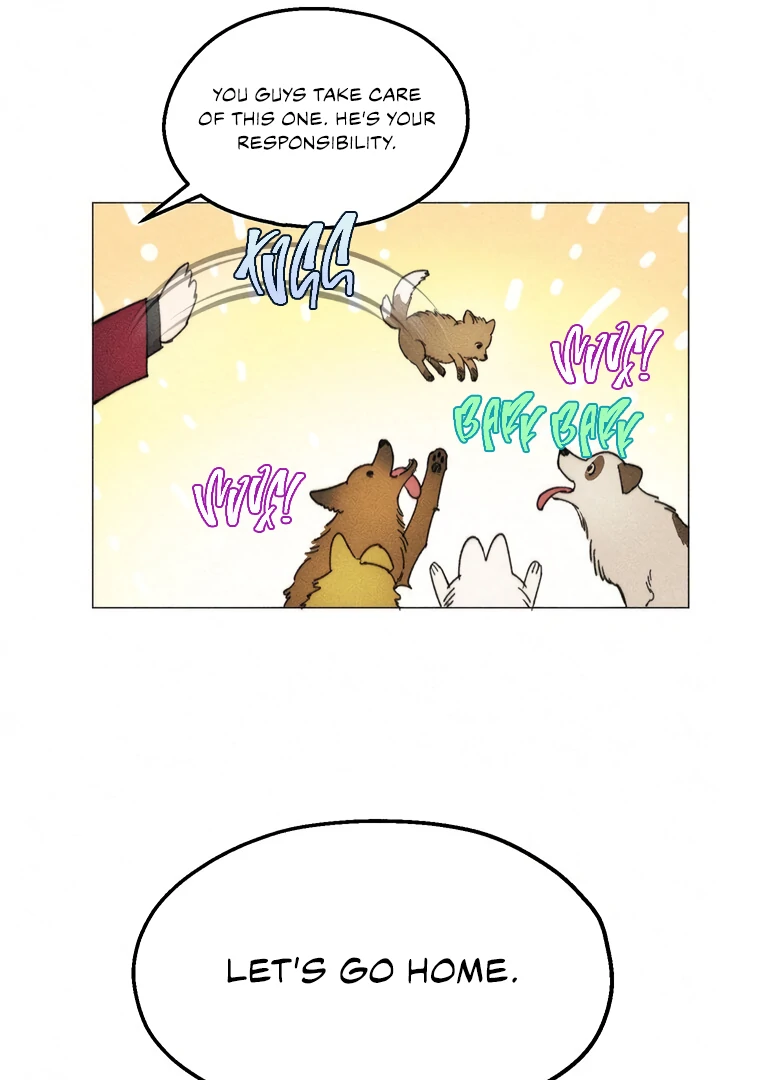ch 28 91