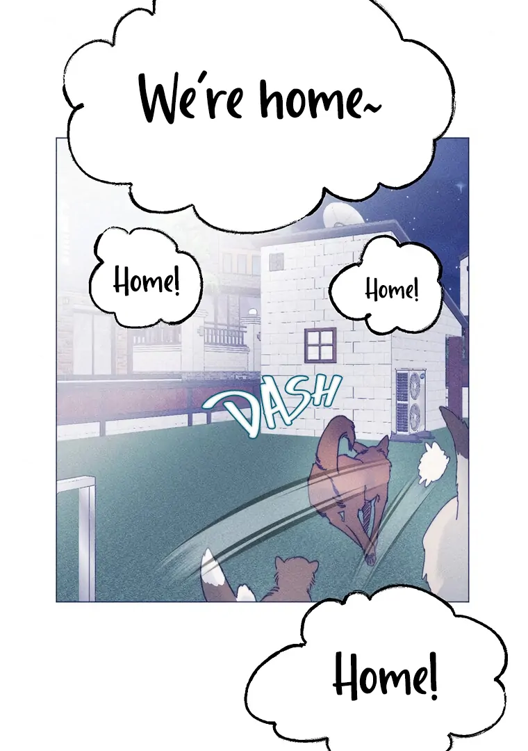 ch 29 18