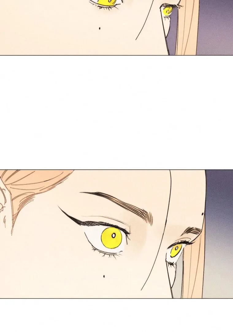 ch 29 99