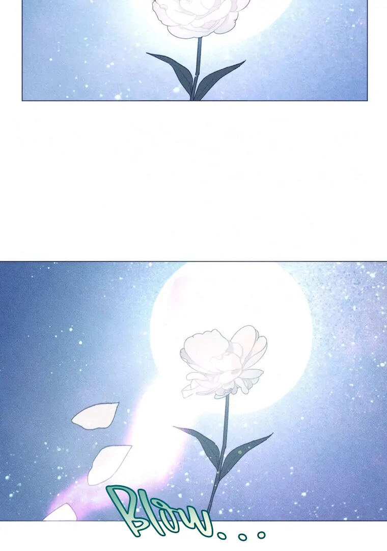 ch 30 104