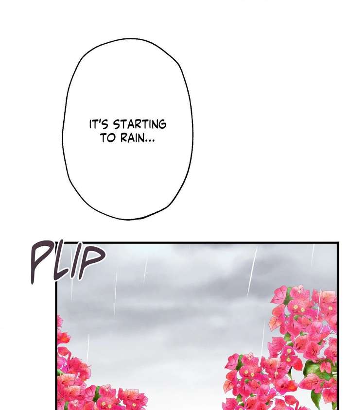 ch 55 58