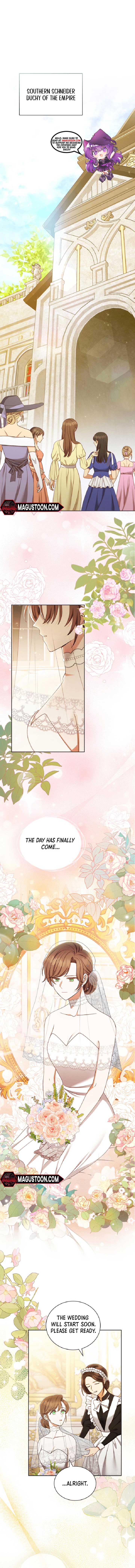 ch 7 1