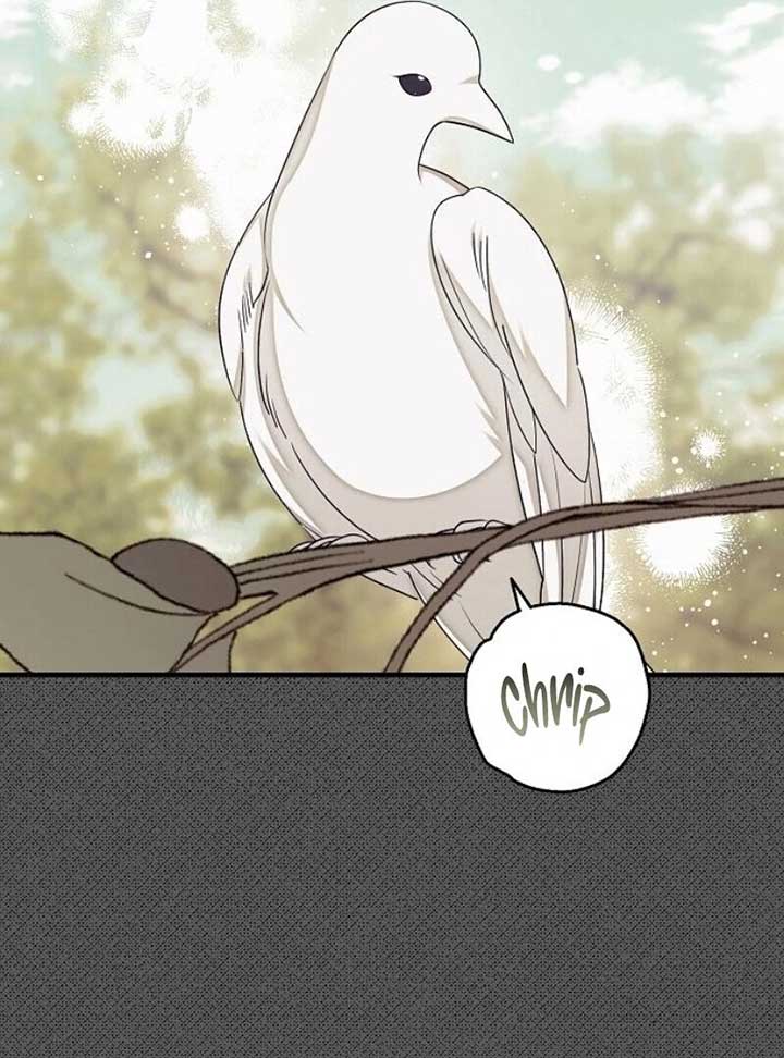 I Became the Mother of the Supporting Male Lead’s Son Chapter 31 447 ch 31 71