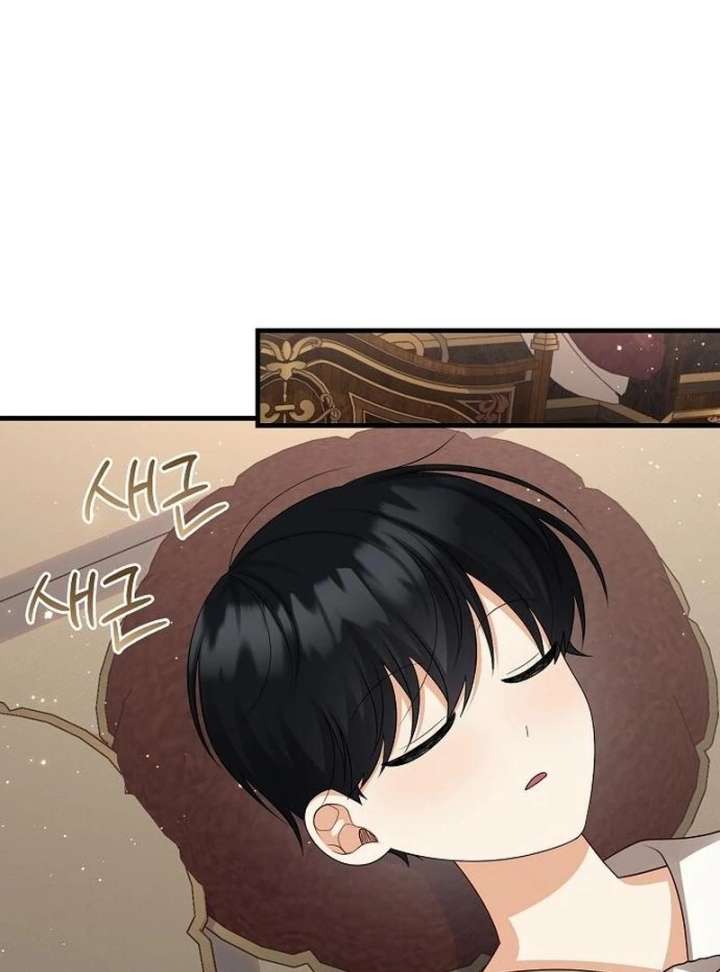 I Became the Mother of the Supporting Male Lead’s Son Chapter 43 424 048