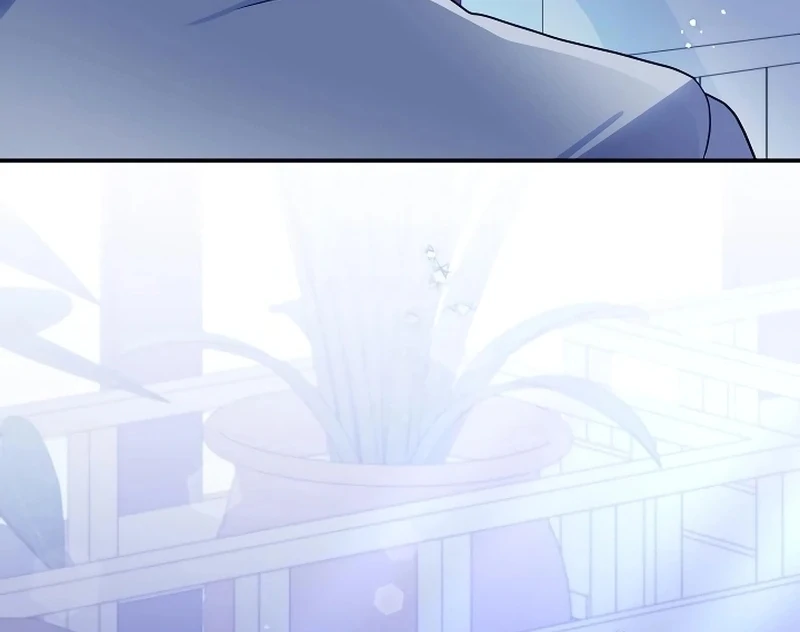ch 11 19