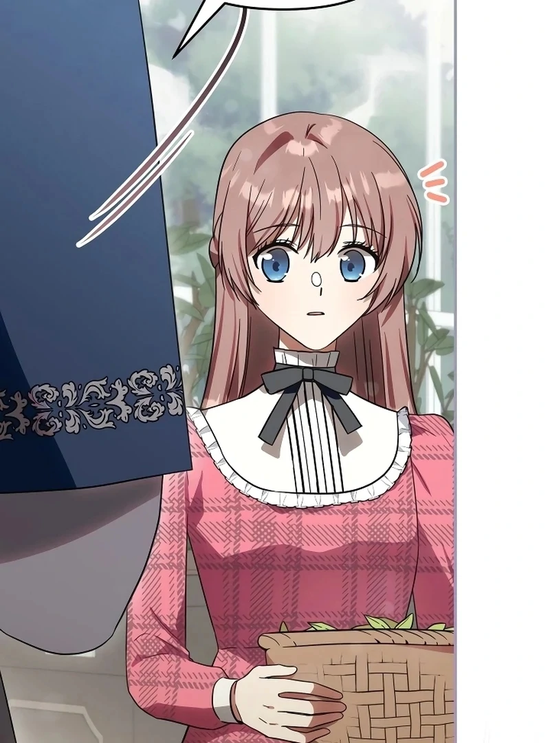 ch 11 5