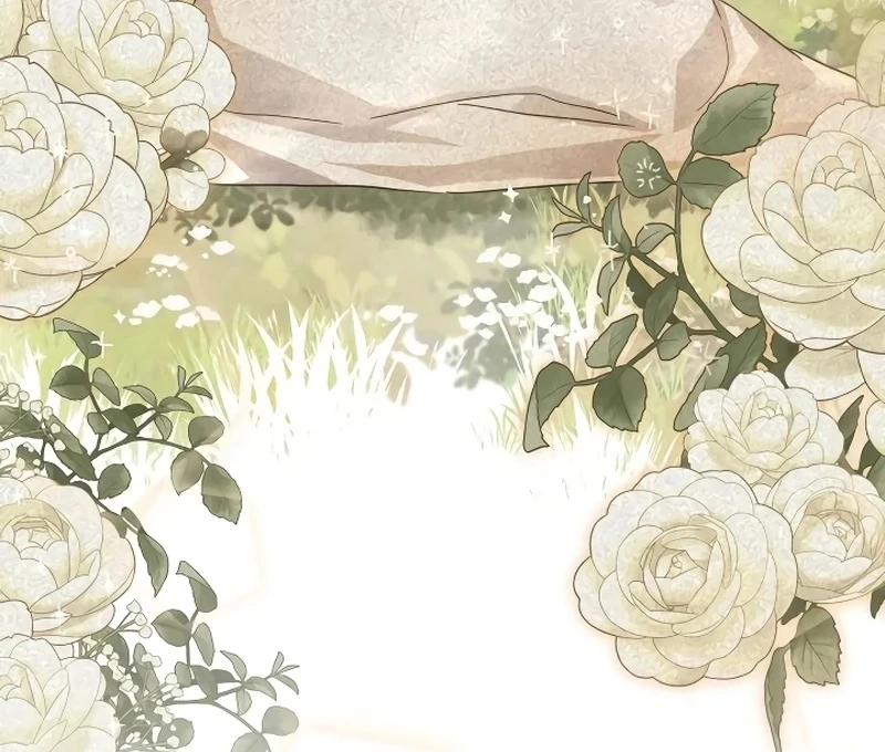 ch 12 17
