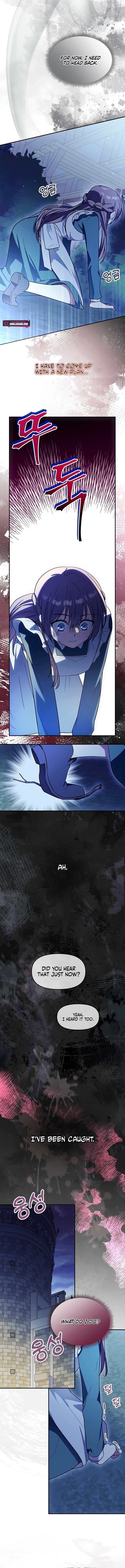 ch 2 8