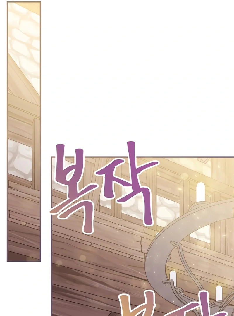 ch 20 61