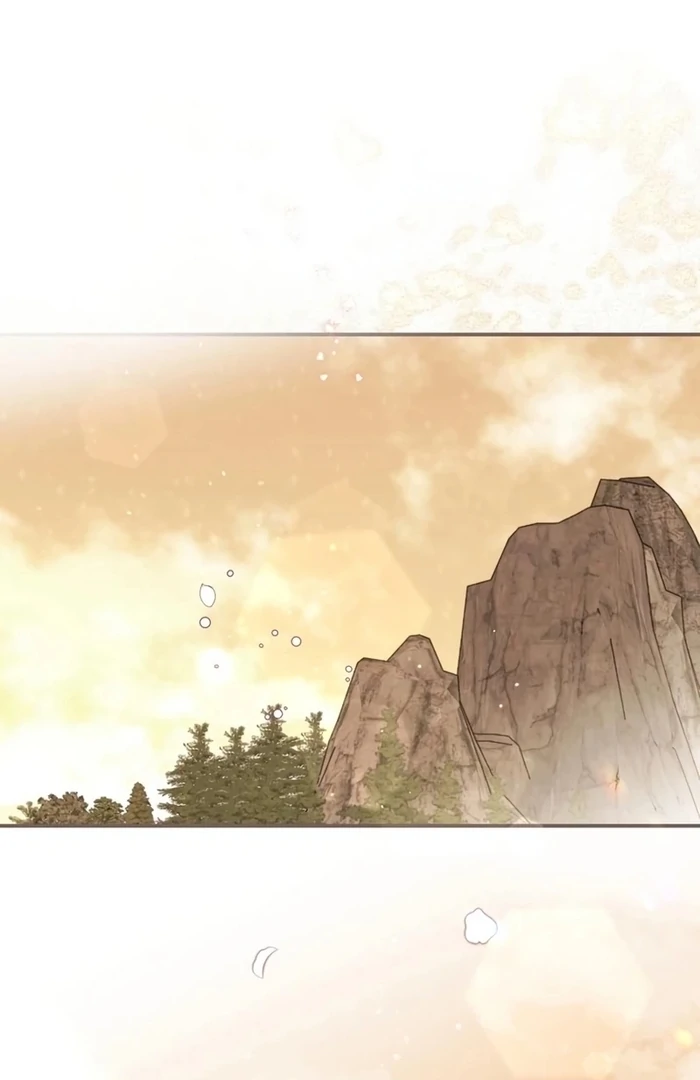 ch 26 1
