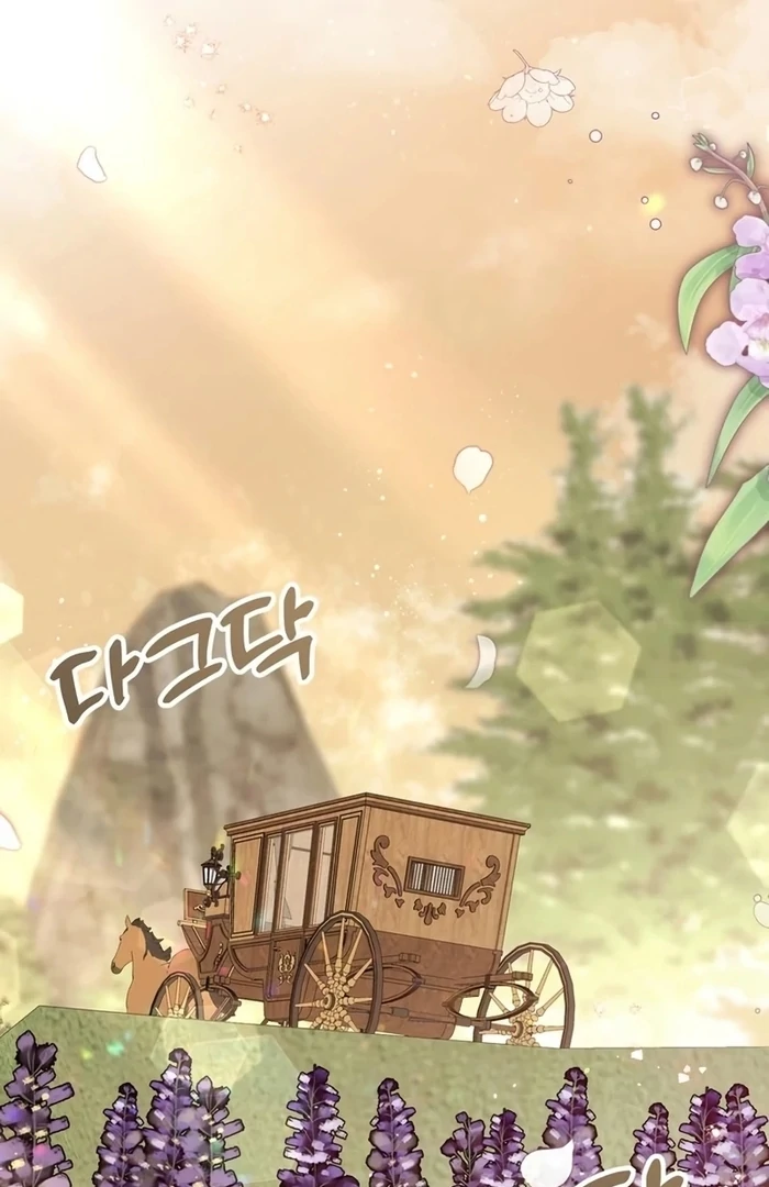 ch 26 2