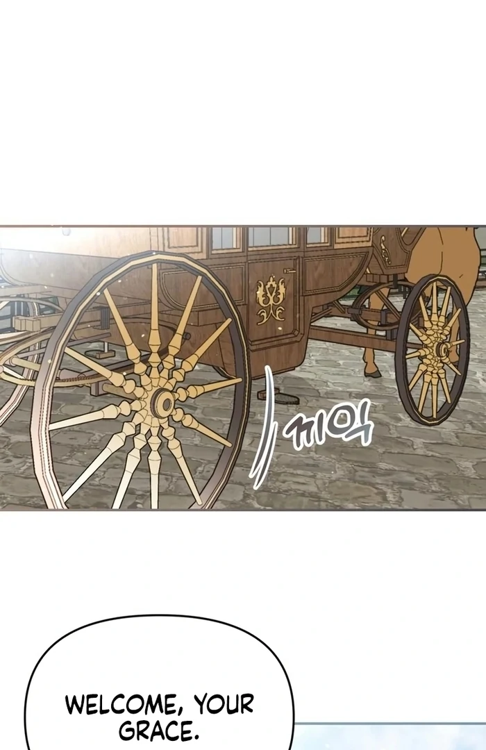ch 27 63