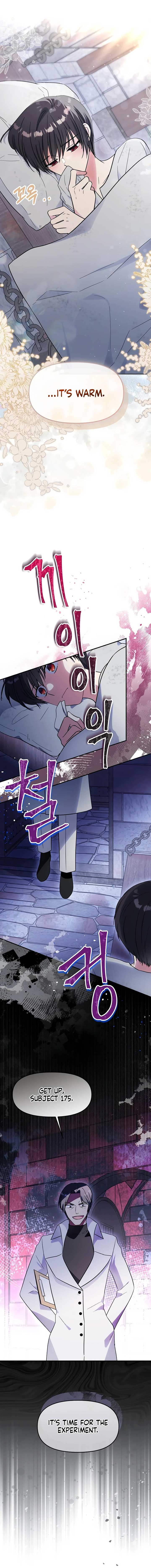 ch 4 1