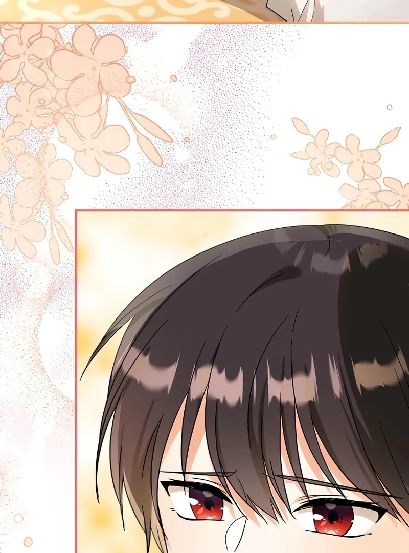 ch 8 81
