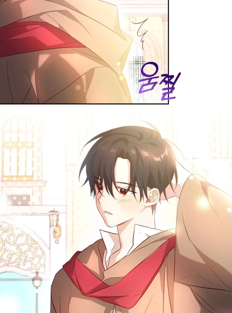 ch 12 13