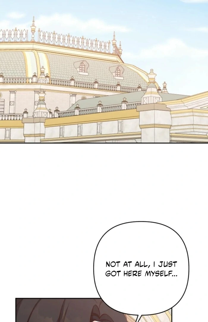 ch 23 51