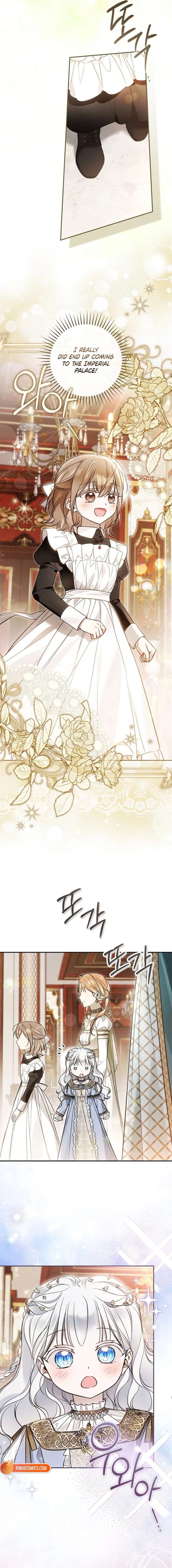 ch 51 17