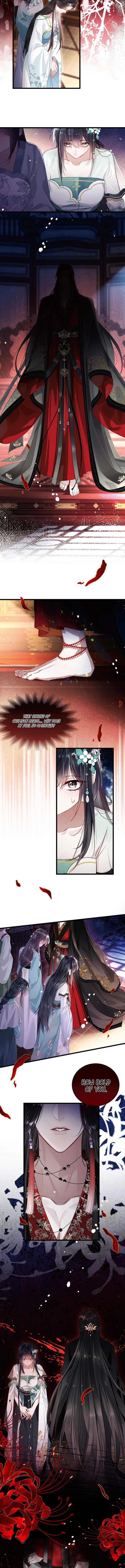 ch 2 6