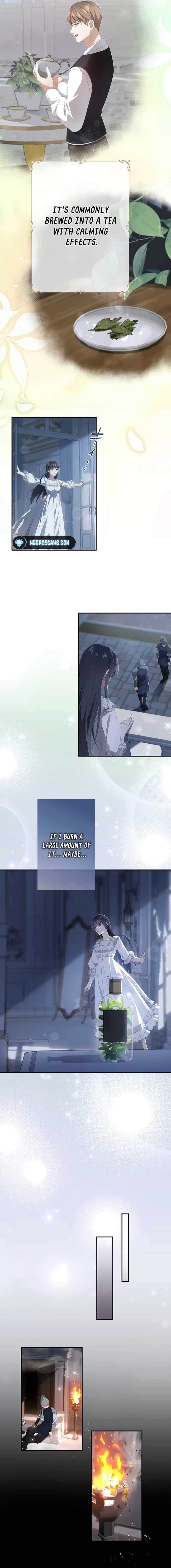 ch 2 16