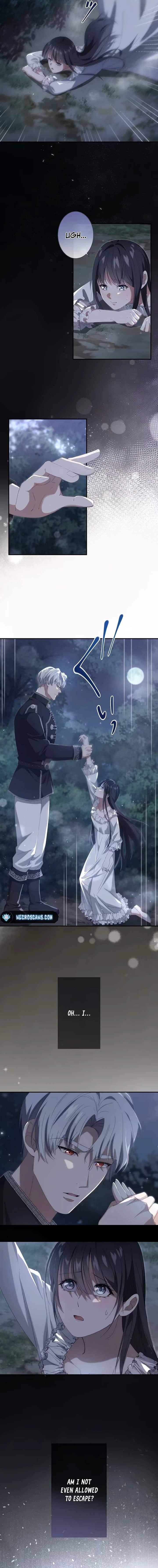 ch 2 18