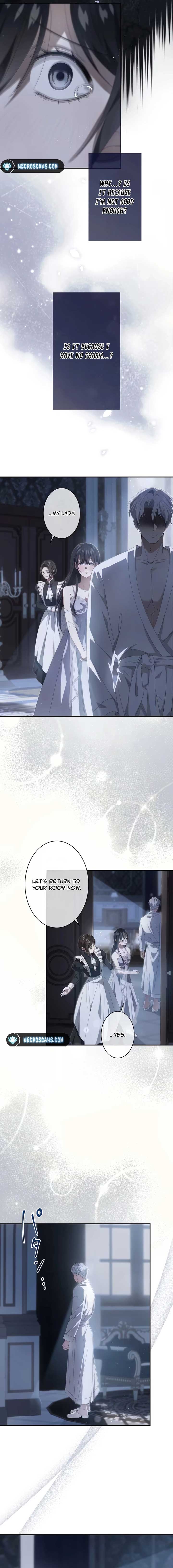 ch 2 6
