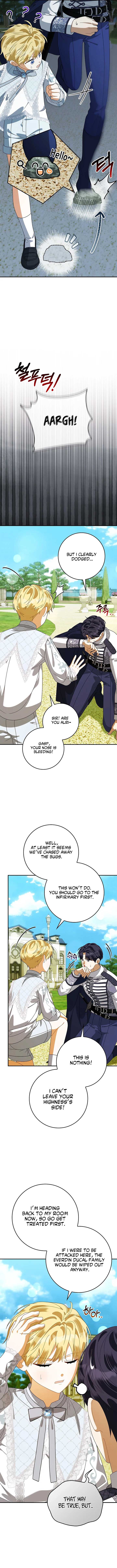 ch 29 17