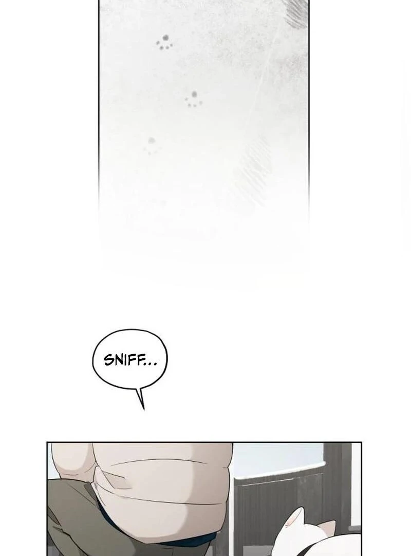 ch 26 36