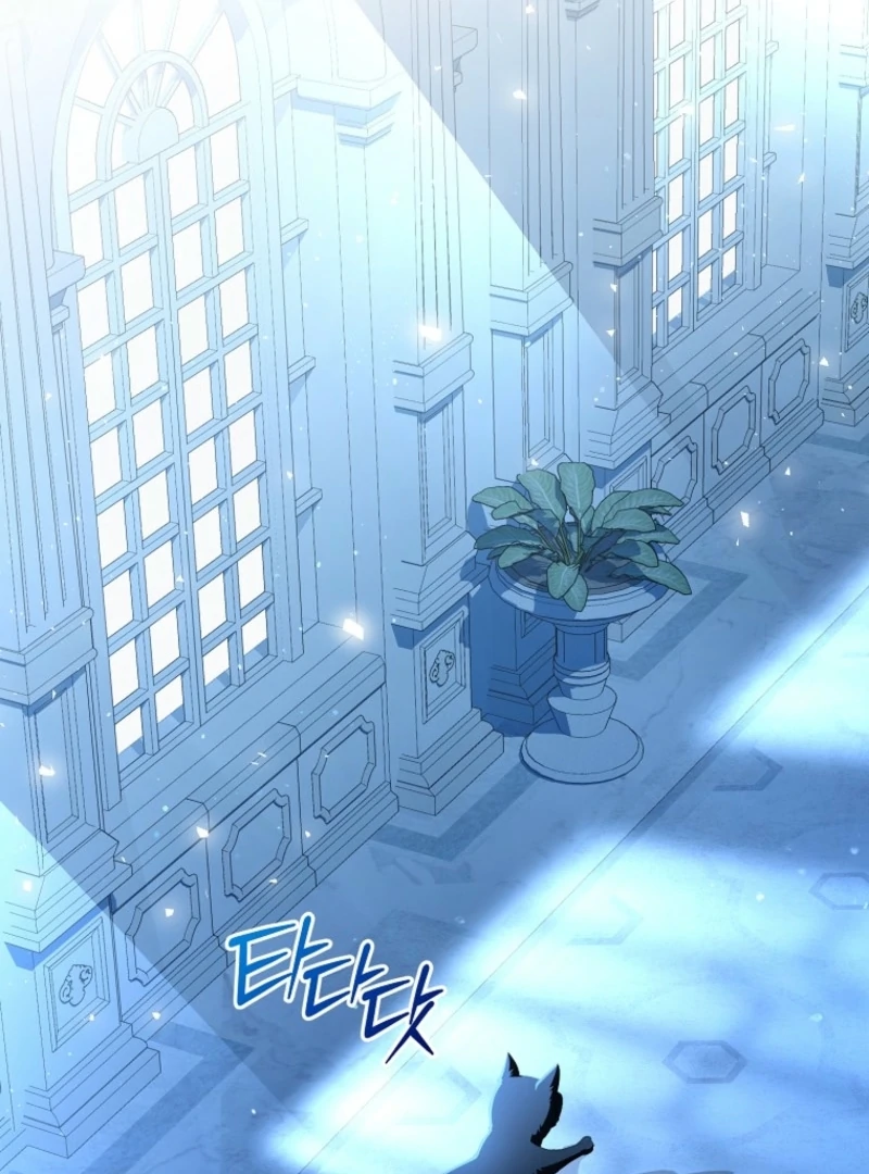 ch 17 100