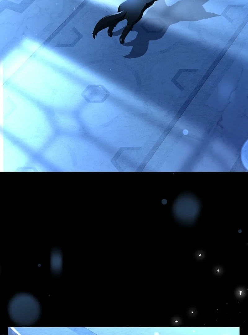 ch 17 101