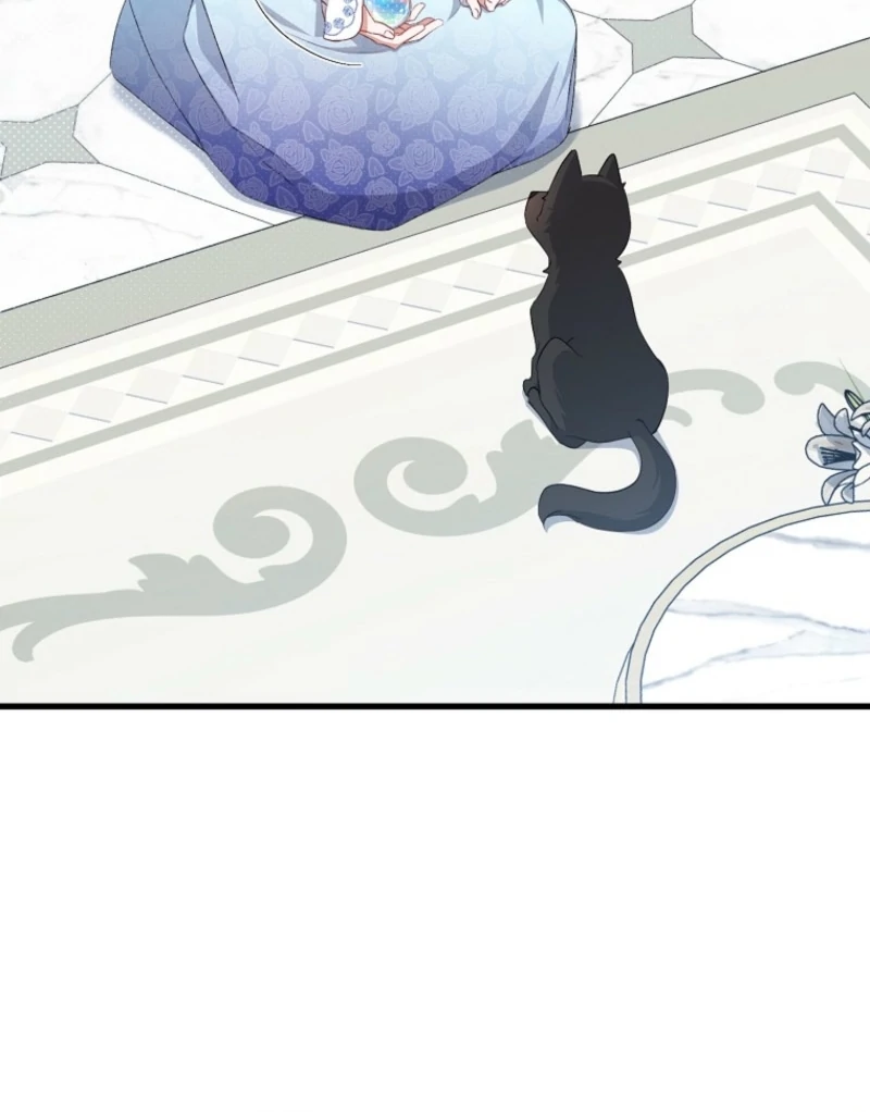 ch 17 13