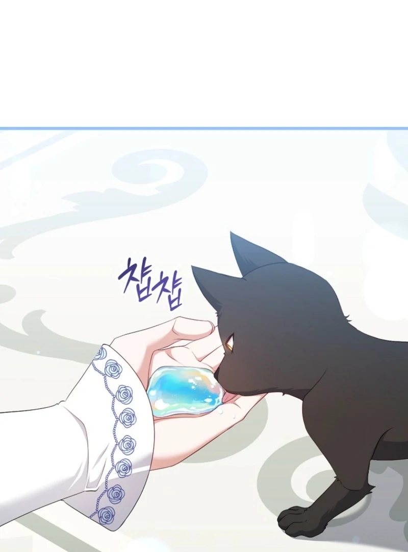 ch 17 17