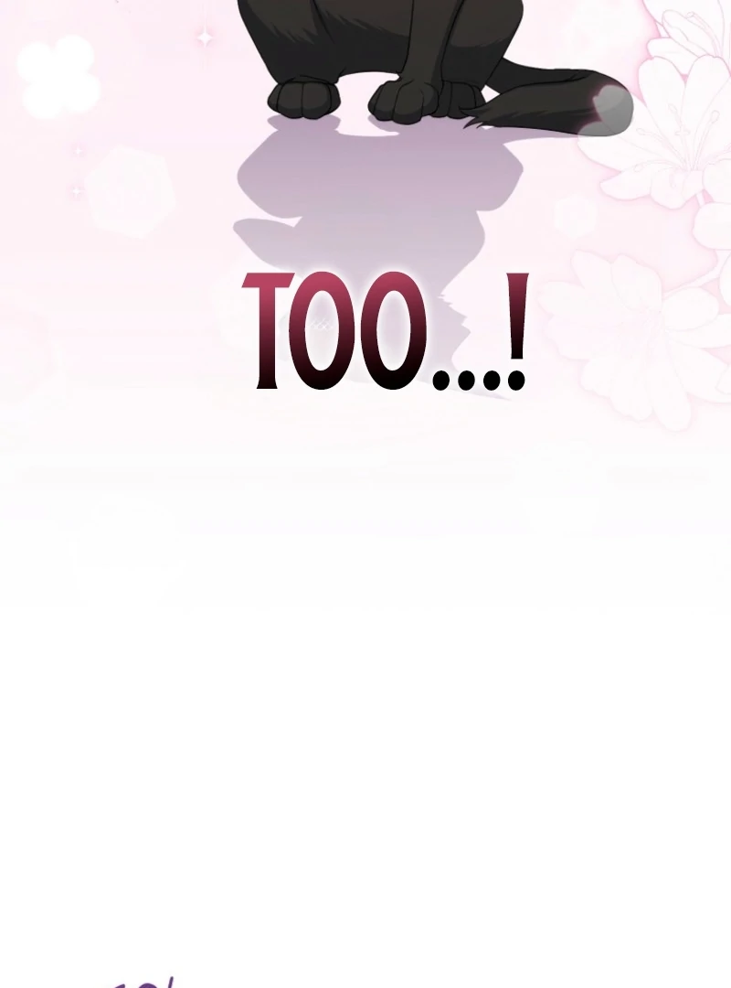 ch 17 23