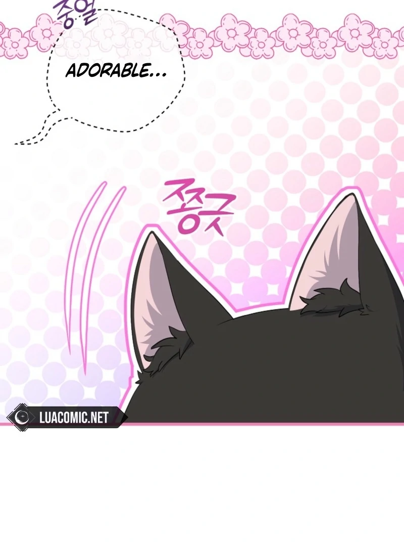 ch 17 24
